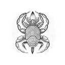 zodiac crab with scorpion  tattoo design idea