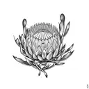 Protea with stem tattoo design idea