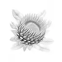 Protea with stem tattoo design idea