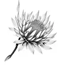 Protea with long stem  tattoo design idea