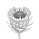 Protea with long stem  tattoo design idea