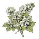 scissors, meadowsweet flowers are depicted on the blades tattoo design idea