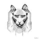 sphynx  tattoo design idea