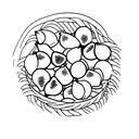 5 large figs in a wicker basket. side view. simplistic tattoo design idea