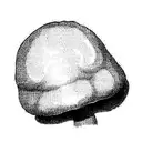 1-up  Mushroom from Super Mario tattoo design idea