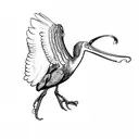 an ibis tattoo design idea