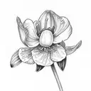 snowdrop and carnation  tattoo design idea