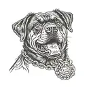 barking  Rottweiler head with chain collar  tattoo design idea