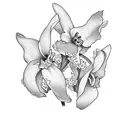cattleya with butterfly tattoo design idea