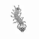 a group of skulls on a centipede tattoo design idea