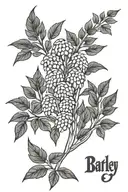 barley tattoo design idea