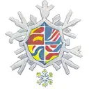 colombian flag plus snowflake tattoo design idea