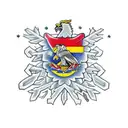 colombian flag plus snowflake tattoo design idea