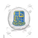 boca juniors  bombos banderas concha brazo tattoo design idea