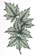 Vermont: A small maple leaf (symbolizing its famous maple syrup). Minnesota: A pine tree (reflecting its lush forests).  tattoo design idea