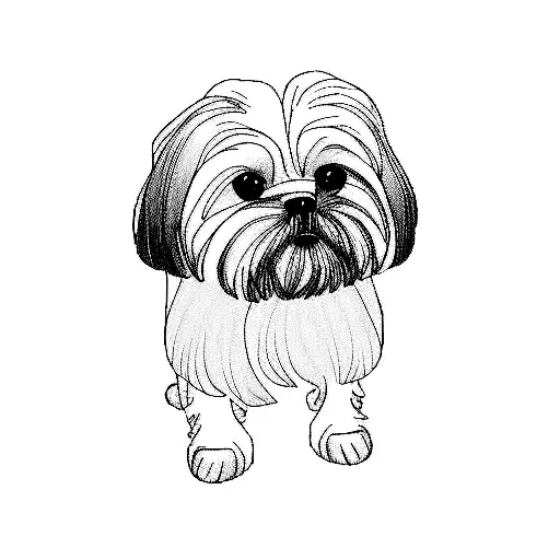 shih tzu tattoo design idea