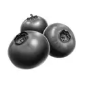 blueberries tattoo design idea