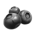 blueberries tattoo design idea