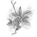 long vine of poison ivy  growing flowers tattoo design idea