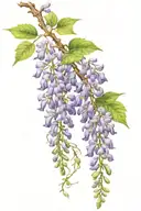 wisteria flowers with vines tattoo design idea