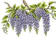 wisteria flowers on vines wrapping tattoo design idea