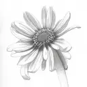 daisy, sweet pea, aster, snowdrop tattoo design idea