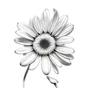 daisy, sweet pea, aster, snowdrop tattoo design idea