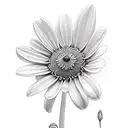 daisy, sweet pea, aster, snowdrop tattoo design idea