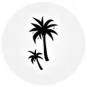 palm tree California plane vacation  tattoo design idea