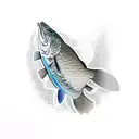 rainbow trout tattoo design idea