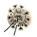 Dandelion tattoo design idea
