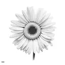 daisy with a stem that says something beautiful remains tattoo design idea