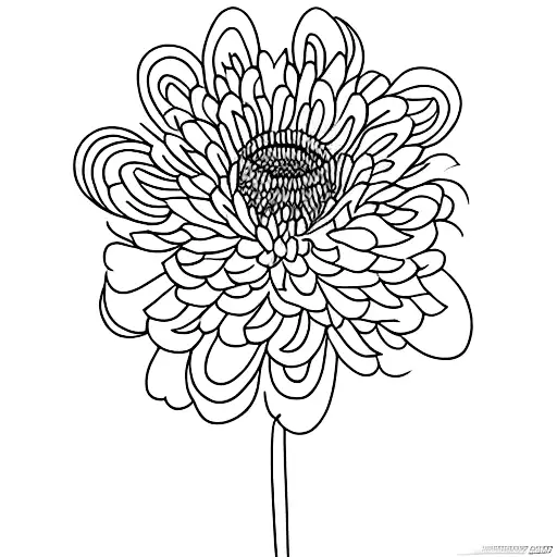 25 Cool Chrysanthemum Tattoos