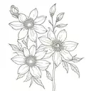 aster and cosmos flower tattoo design idea