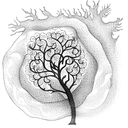 Tree of Life tattoo design idea