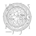 ptolemaic model solar system tattoo design idea