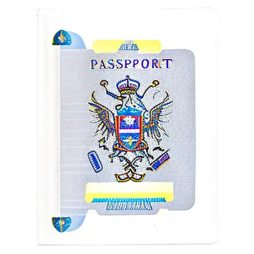passport with romania flag and others tattoo design idea