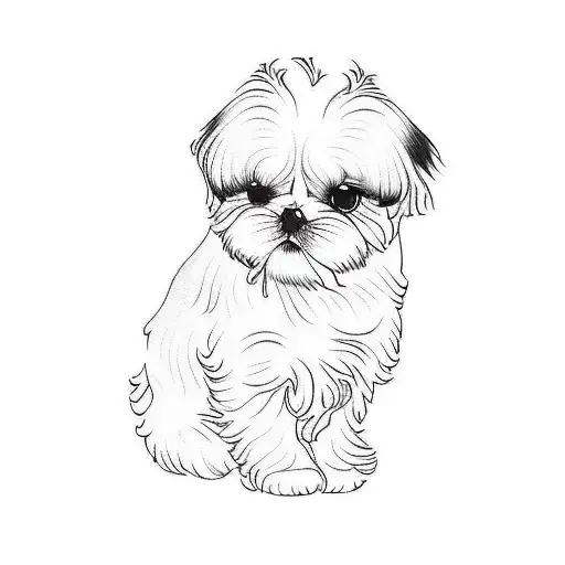 a shih tzu tattoo design idea