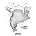 A map of South America with the flags of Brazil and Argentina overlaid, surrounded by coffee beans tattoo design idea