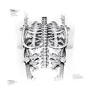 rib cage tattoo design idea