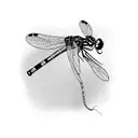 damselfly tattoo design idea
