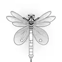 damselfly tattoo design idea