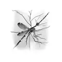 damselfly tattoo design idea