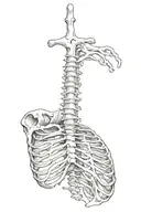 Rib cage tattoo tattoo design idea