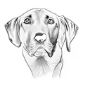 a labrador retriever tattoo design idea