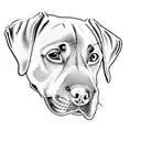 a labrador retriever tattoo design idea