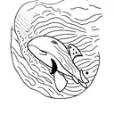 orca tattoo design idea