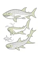 whale shark back tattoo tattoo design idea