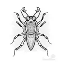 A beetle with intricate patterns and designs inspired by Kerala culture tattoo design idea