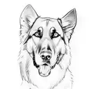 half face of a German shepherd and half face of a labrador together tattoo tattoo design idea